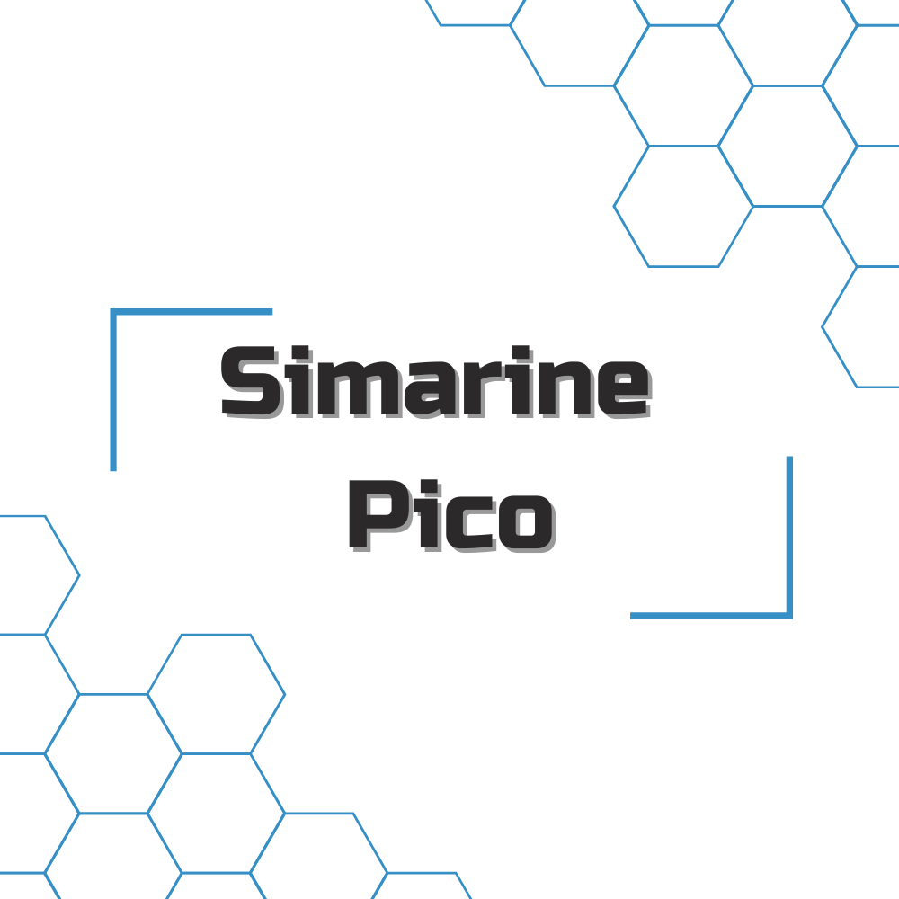 Simarine Pico